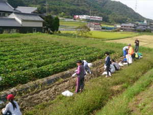 南野育成園交流事業『芋ほり体験』・『ドイツの森